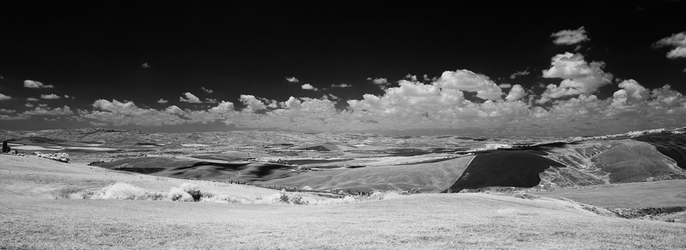 Matrimonio in Val D'Orcia 2